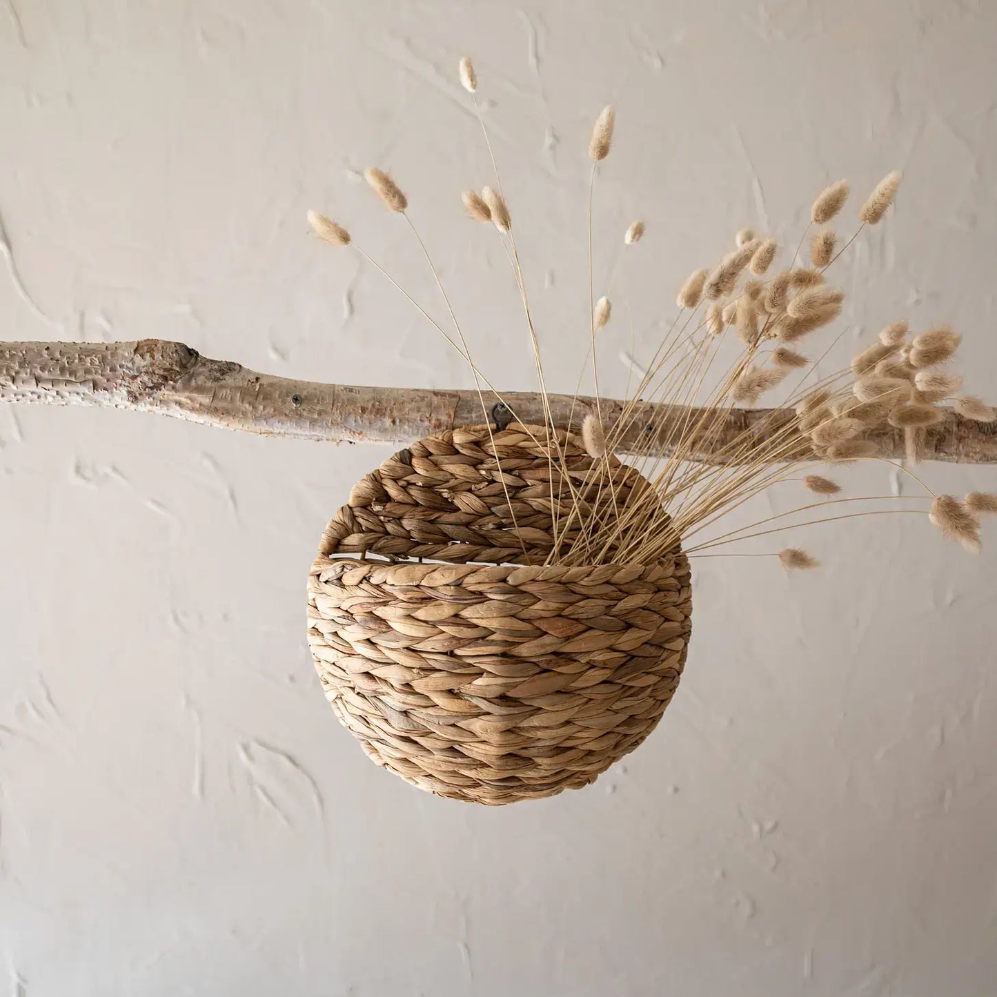 Calliope Wall Pocket