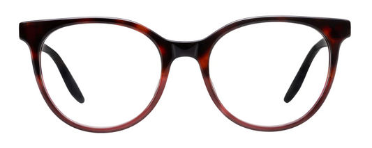 Barton Perreira Jocelyn