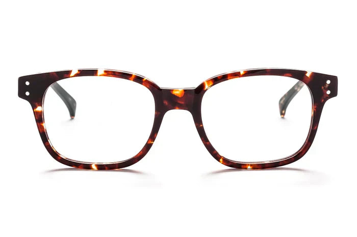 AM Eyewear - Newton