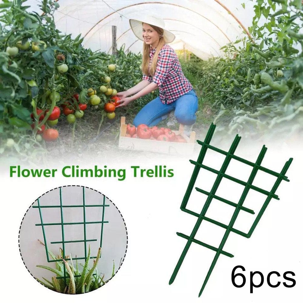 Gofj 6Pcs Plant Plastic Support Brackets Climbing Trellis Flower Stands Garden Tool
